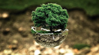 Bistrița, printre orașele finaliste selectate pentru „premiile europene ale orașului verde”