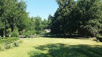 Nicușor Dan, despre parcul Cișmigiu: Nu e dezastrul pe care îl aud