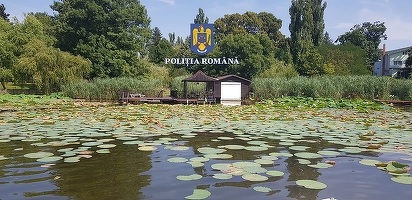 Construcții ilegale amenajate pe malurile Dunării, descoperite în timpul unei acțiuni la nivel european