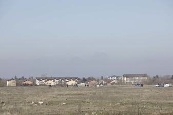 GALERIE FOTO Continuă pasarea de responsabilități după cazul femeii ucise de câini: Listă de sesizări aruncată în presă