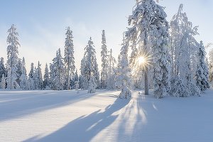 România, sub un val de frig.Până când vor fi temperaturi reduse