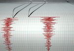 Cutremur cu magnitudinea 4,5 în județul Buzău