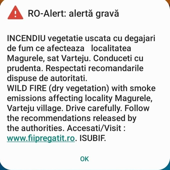 VIDEO&GALERIE FOTO Incendiu puternic de vegetație în apropierea Capitalei. A fost emis și un mesaj RO-ALERT