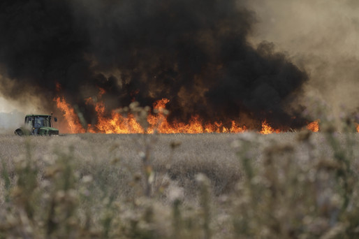 VIDEO&GALERIE FOTO Incendiu puternic de vegetație în apropierea Capitalei. A fost emis și un mesaj RO-ALERT