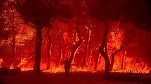 VIDEO Opt sate evacuate în nord-estul Greciei din calea incendiilor. Focul se deplasează spre aeroportul orașului Alexandroupolis 