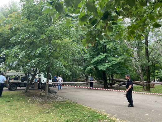 ULTIMA ORĂ VIDEO&FOTO Incendiu puternic în Parcul IOR din Capitală 