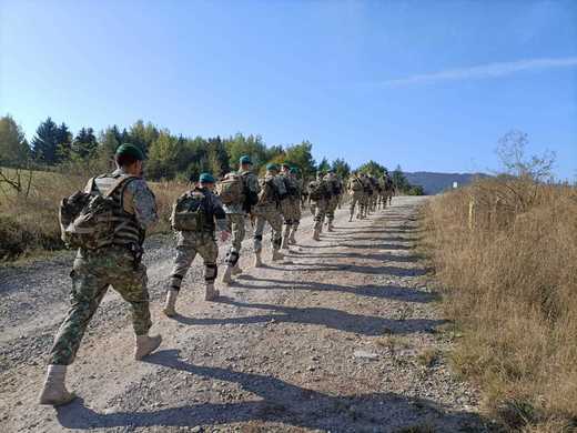 Virgil Bălăceanu, fost reprezentant al Comandamentului NATO: Dacă nu vom reface rezerva Armatei pe principiile voluntariatului, va trebui să reintroducem serviciul militar obligatoriu
