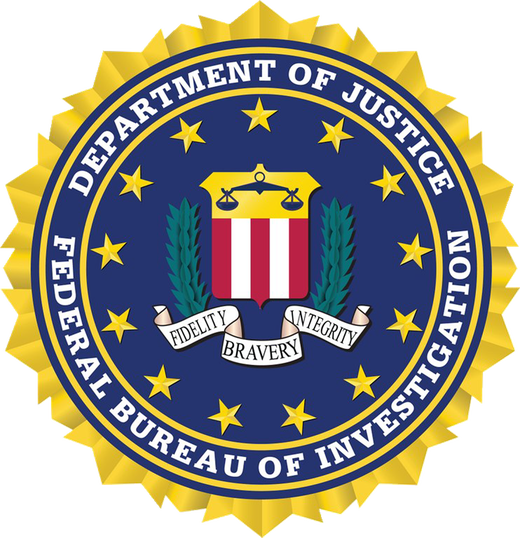 VIDEO Percheziții în România, la solicitarea FBI