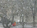 Vremea rea a făcut ravagii în țară. Zeci de mașini au rămas blocate în zăpadă, mulți turiști au nevoie de ajutor