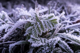 Meteorologii anunță temperaturi ușor peste cele obișnuite pentru următoarele două săptămâni în cea mai mare parte a țării și precipitații abundente în mai multe regiuni