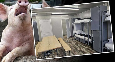 Inedit - Un antreprenor a găsit soluția pentru lipsa forței de muncă: A construit o mică pușcărie și angajează deținuți