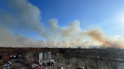 GALERIE FOTO Incendiu puternic în Delta Văcărești. A fost emis mesaj RO-Alert