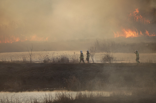 GALERIE FOTO Incendiu puternic în Delta Văcărești. A fost emis mesaj RO-Alert