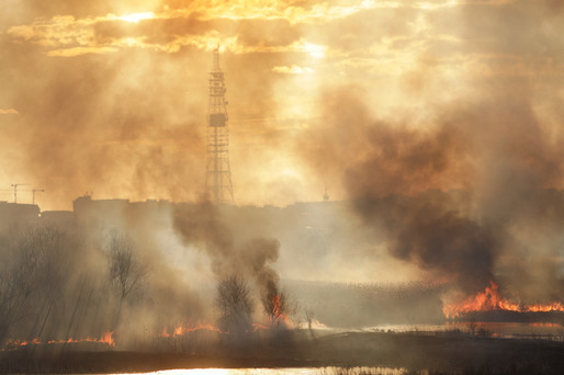 GALERIE FOTO Incendiu puternic în Delta Văcărești. A fost emis mesaj RO-Alert