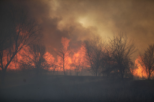 GALERIE FOTO Incendiu puternic în Delta Văcărești. A fost emis mesaj RO-Alert