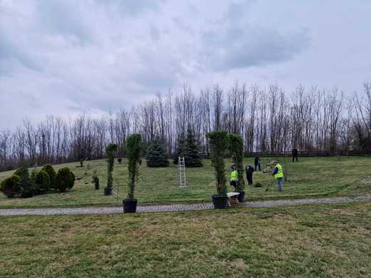 Primăria Ciugud anunță că începe „plantarea celui mai spectaculos parc din mediul rural”