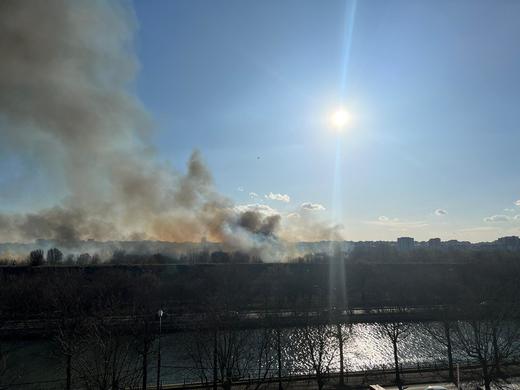 Incendiu în Delta Văcărești, pe aproximativ 1.000 de metri pătrați. Pompierii intervin cu 11 autospeciale