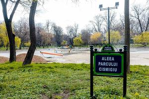 FOTO Nicușor Dan prezintă zeci de imagini cu muncitori din Cișmigiu și mărțișoare în copaci: A înverzit gazonul!