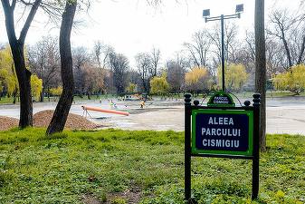 FOTO Nicușor Dan prezintă zeci de imagini cu muncitori din Cișmigiu și mărțișoare în copaci: A înverzit gazonul!