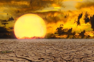 Peste 50°C la umbră: India și Pakistanul sunt afectate de un val de căldură extremă