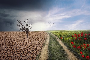 STUDIU Protecția mediului, a naturii și a climei - abia pe locul 8 pentru români între problemele urgente ale societății
