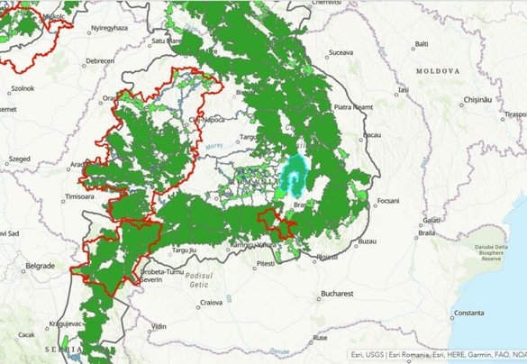 FOTO Harta zonelor din România unde vă întâlniți nedorit cu urși. Punctele critice