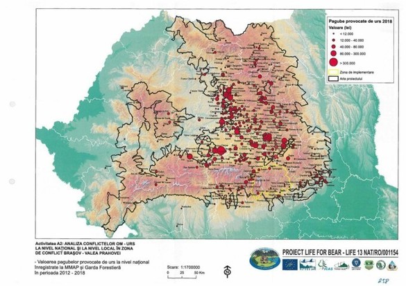 FOTO Harta zonelor din România unde vă întâlniți nedorit cu urși. Punctele critice