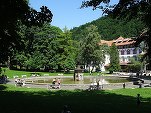 FOTO Urșii au ajuns în Parcul Central din Sinaia