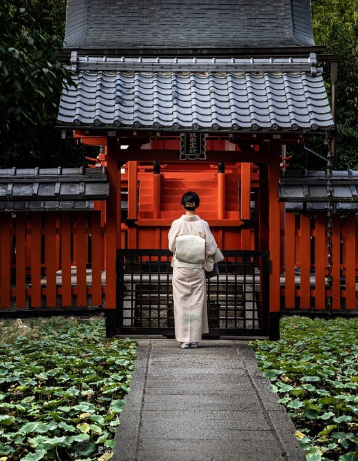 Japonia - cea mai mare scădere a numărului de cetățeni înregistrată vreodată. Cel al străinilor însă crește