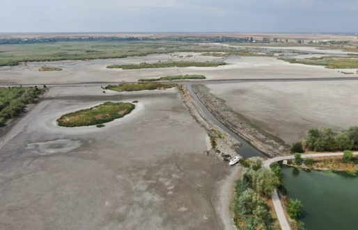 VIDEO&FOTO Mica deltă formată în apropierea Bucureștiului a secat aproape total