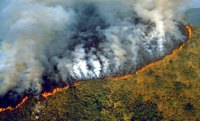 VIDEO Incendiile de vegetație scapă de sub control în Peru