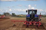 O treime dintre angajații în agricultura din Italia sunt străini. Românii și indienii - cei mai mulți. \