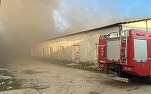 VIDEO Incendiu lângă București, în Voluntari. A fost trimis un mesaj RoAlert 