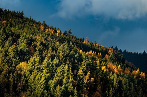 Trei zile cu temperaturi de până la 19 grade. De joi, se răcește semnificativ și va ploua sau va ninge
