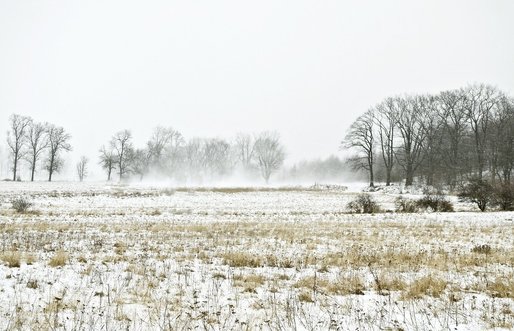 Vânt puternic și ploi până sâmbătă seară, în mai multe zone ale țării. La munte va ninge consistent, iar viteza vântului pe creste poate depăși 90 km/h. Cod galben în mai multe regiuni