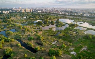 FOTO În Parcul Natural Văcărești au fost montate camere cu termoviziune, pentru monitorizarea incendiilor