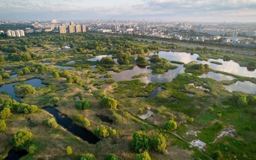 FOTO În Parcul Natural Văcărești au fost montate camere cu termoviziune, pentru monitorizarea incendiilor