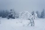 Vine zăpada și în București