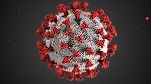 România confirmă două cazuri de metapneumovirus uman