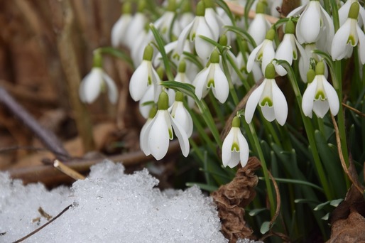 Meteorologii anunță că și în luna februarie temperaturile vor fi peste valorile obișnuite în această perioadă