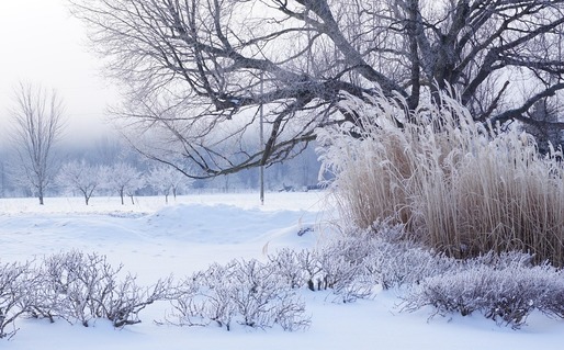 România, lovită de un val de aer polar. Temperaturile scad la  -22 de grade