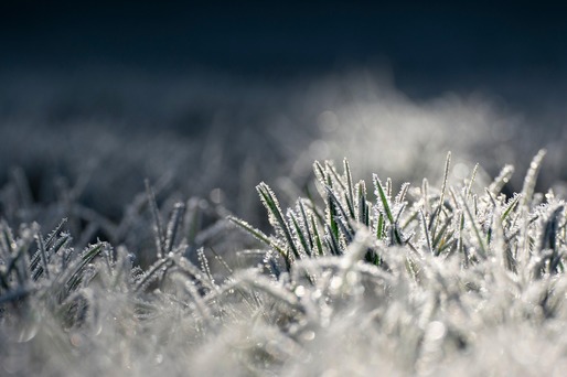 HARTĂ Cea mai rece lună februarie din ultimii 13 ani. Unde a fost mai frig de -20 de grade Celsius 