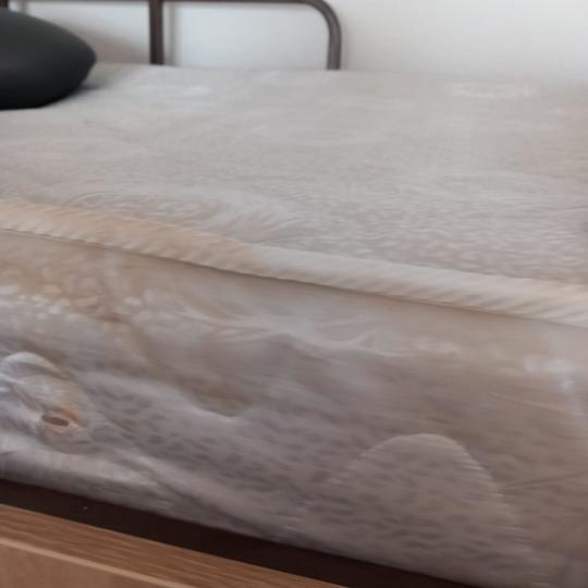 FOTO Piedone a intrat cu amenzi în zeci de campusuri universitare: Voi, cei care ați ales să fiți iresponsabili sau nesimțiți, veți suporta consecințele!