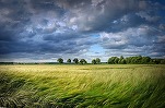 HARTĂ Nou anunț meteo - Vremea se va schimba în cea mai mare parte a țării, unele județe intră sub Cod Portocaliu de vânt puternic