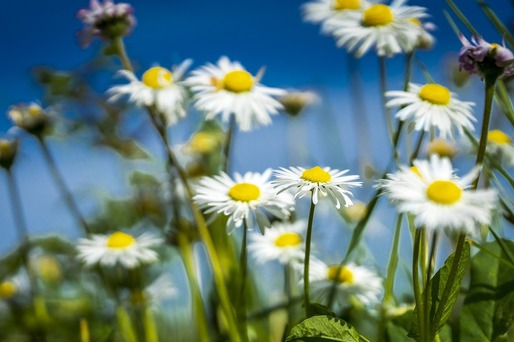 Nouă avertizare meteo - Se va ajunge la temperaturi de până la 28 de grade 