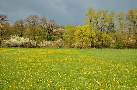 Nouă avertizare meteo - Temperaturi sub cele obișnuite. Vin și noi ploi 