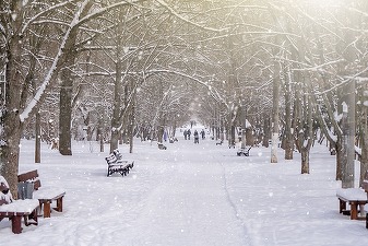 AVERTIZARE METEO Temperaturile scad abrupt în toată țara. Ninsori, lapoviță, ploi
