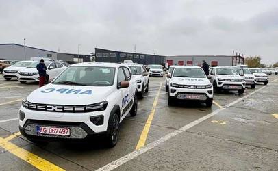 Piedone a intrat în control pe litoral