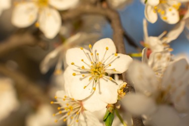 Nou anunț meteo - Cum va fi vremea în ziua alegerilor și când scad temperaturile