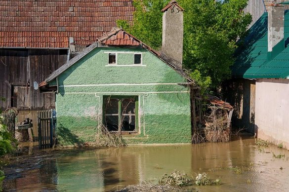 FOTO Predoiu îl contrazice pe Nicușor Dan pe tema statului român disfuncțional